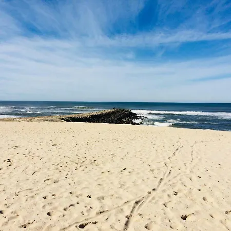 House Loft 홈스테이 *