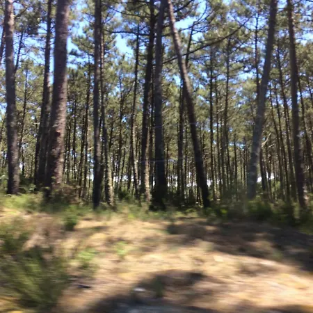 House Loft 홈스테이