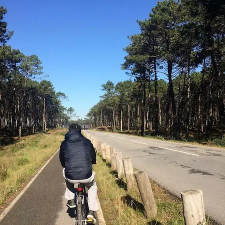 홈스테이 House Loft