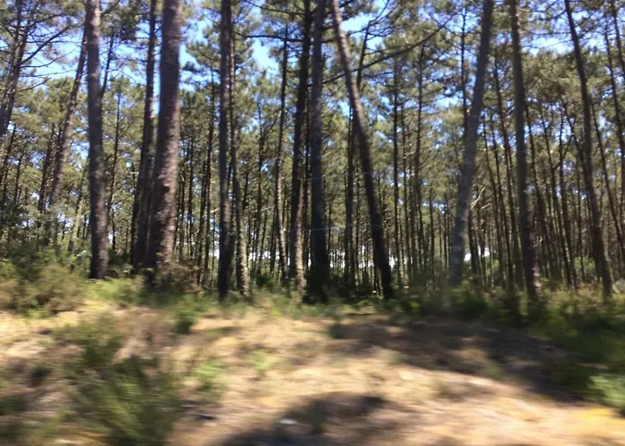 House Loft Δωμάτια σε οικογενειακή κατοικία